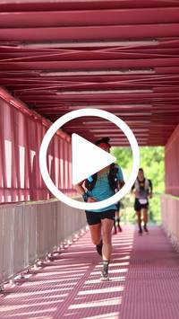 BIB:  <button type="button" onclick="openModal(27438041)" class="btn btn-primary btn-sm float-right" data-toggle="modal" data-target=".modal-high-quality">
                <i class="fa fa-download"></i> Download
                </button>